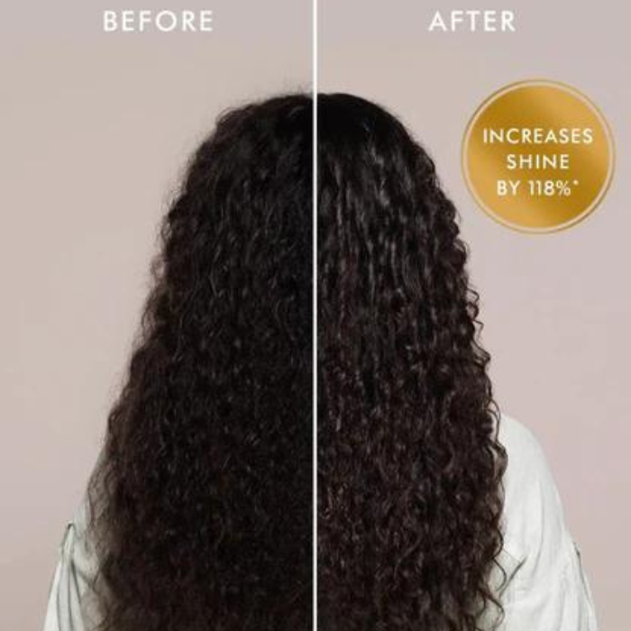 Moroccanoil Treatment benefits infographic