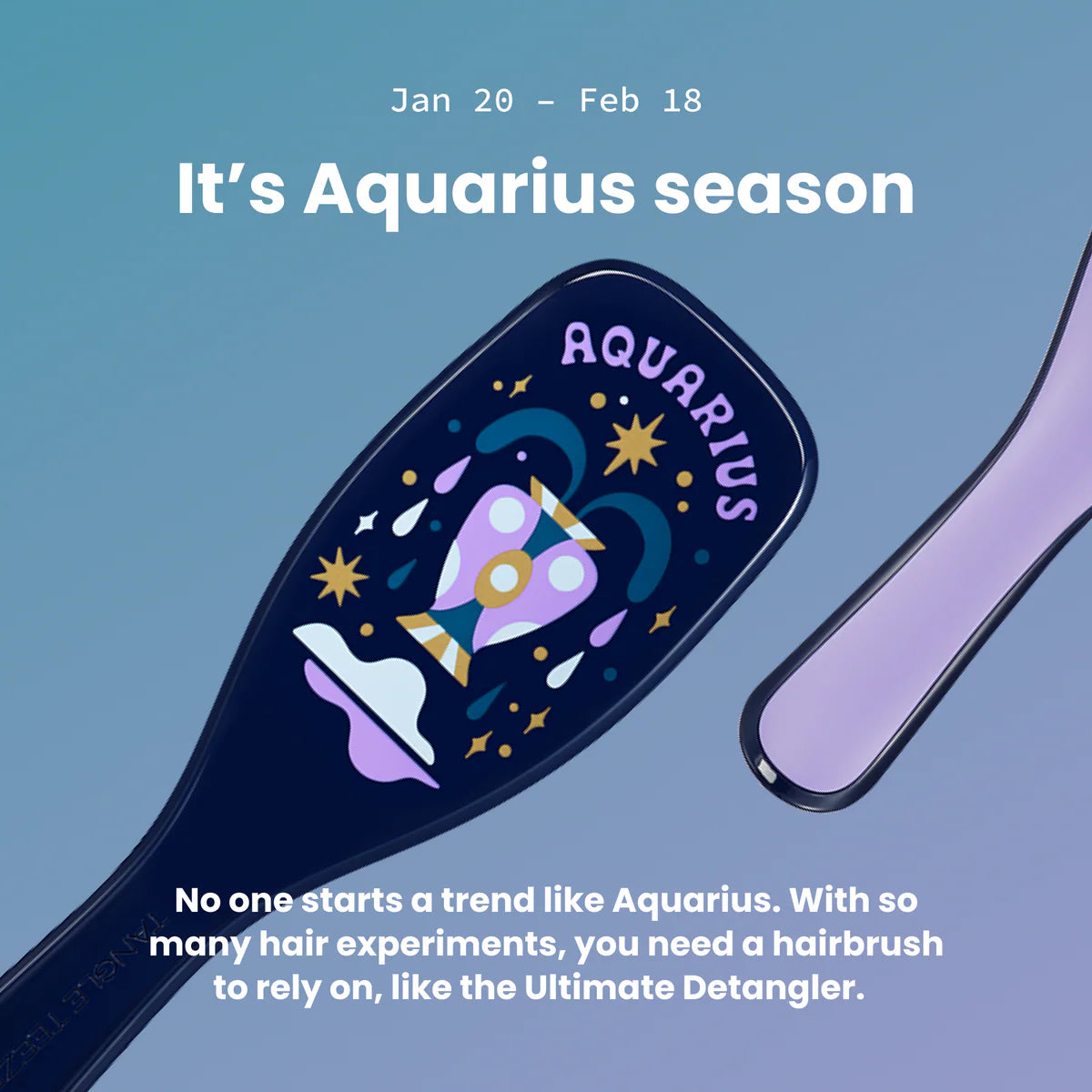 TANGLE TEEZER Ultimate Detangler Zodiac
