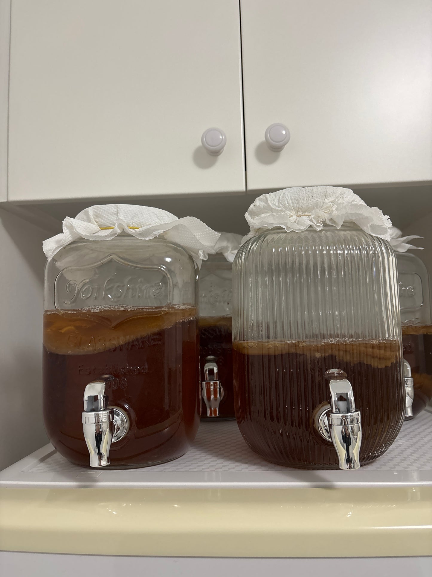 Kombucha 1000ml