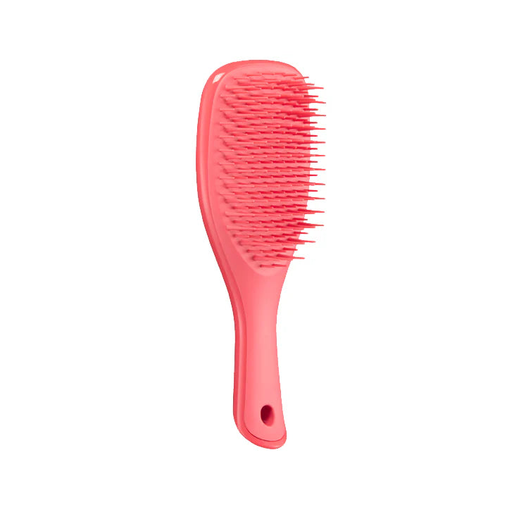 TANGLE TEEZER Mini Wet Detangler