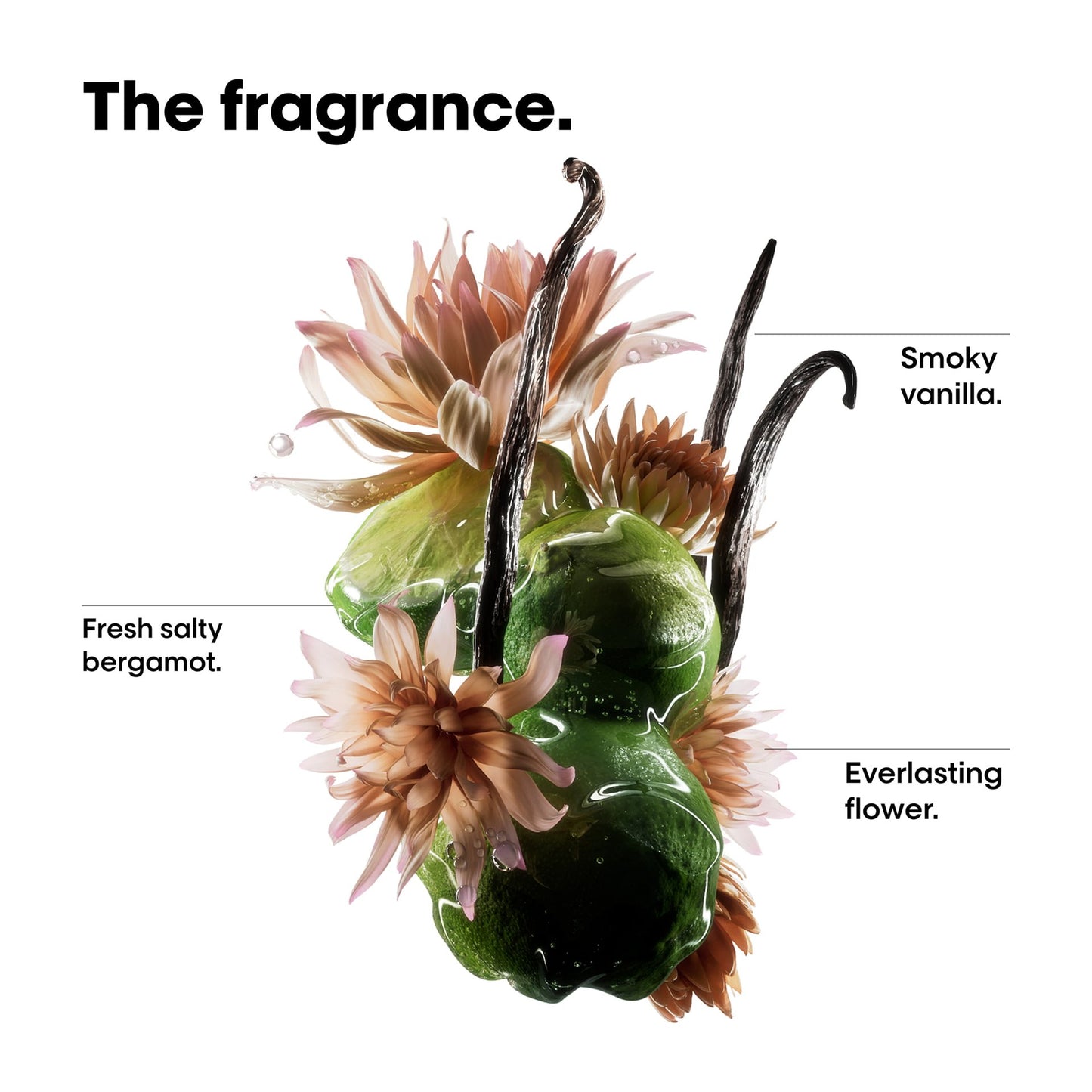 LOREAL PROFESSIONAL Absolut Repair Molecular Professional Bi-phase Oil for damaged hair.
