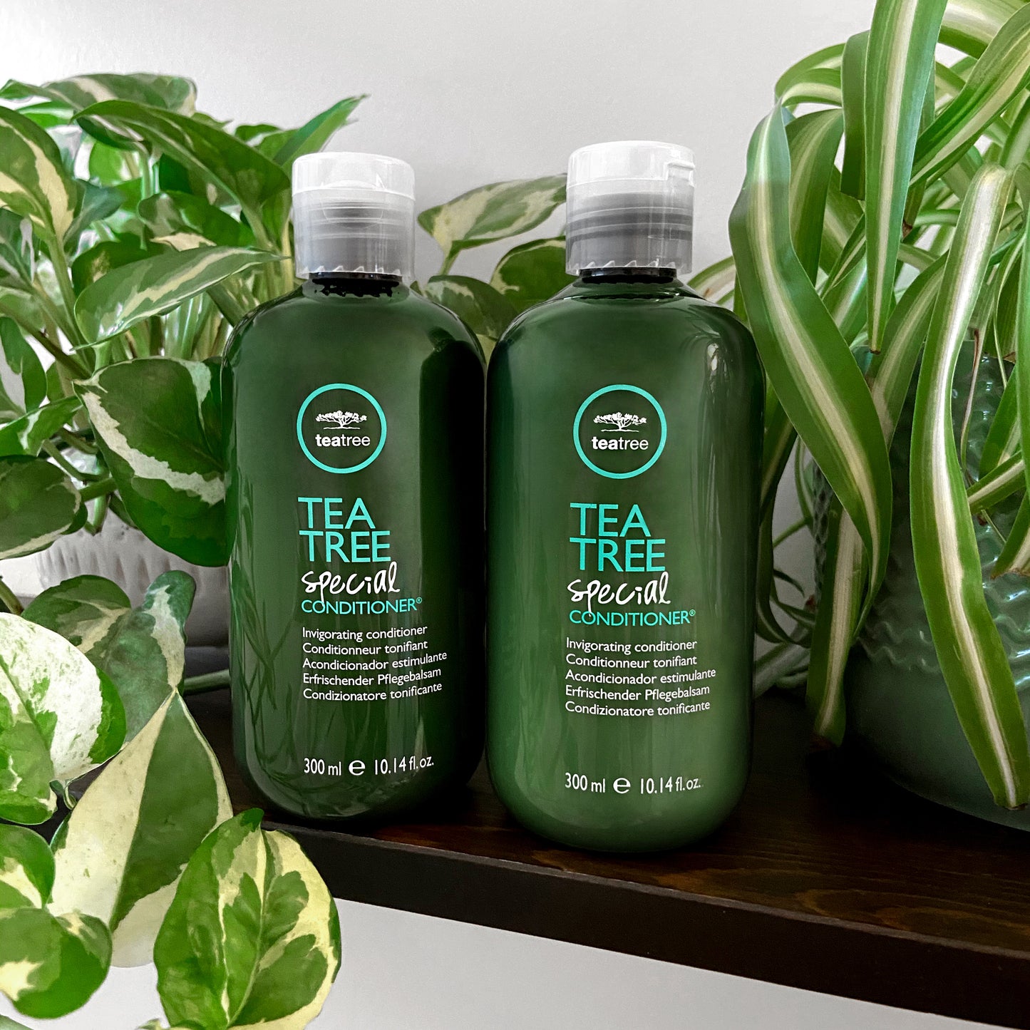 Teatree Special Conditioner