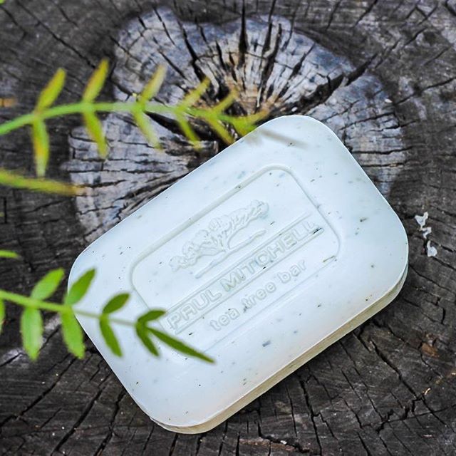 Paul Mitchell Teatree Body Bar Soap 150g – view 6