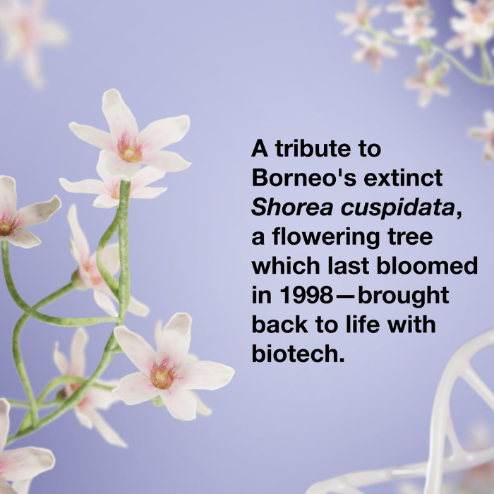 Floral and aquatic elements with text on a purple background for K18 x Future Society