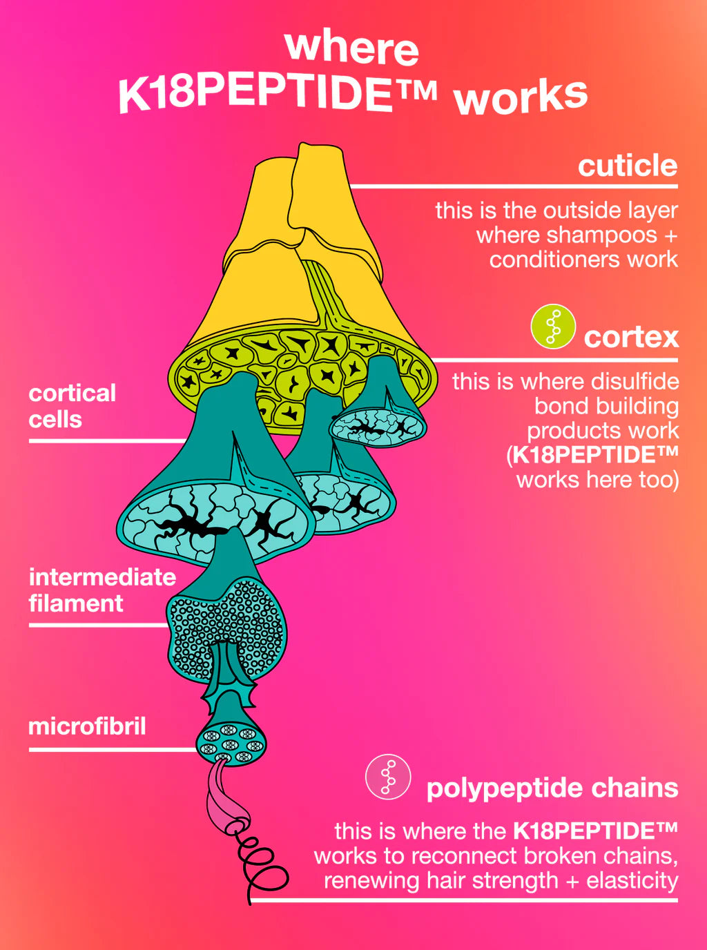 K18 future faves Minis SET