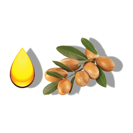 ELEVEN AUSTRALIA Miracle Hair Treatment Oil Elixir 100ML