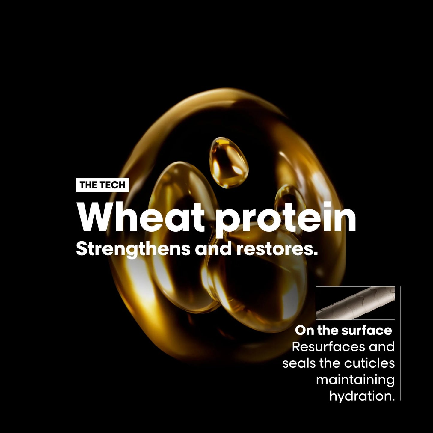Absolut Repair Gold Quinoa + Protein technology for damaged hair
