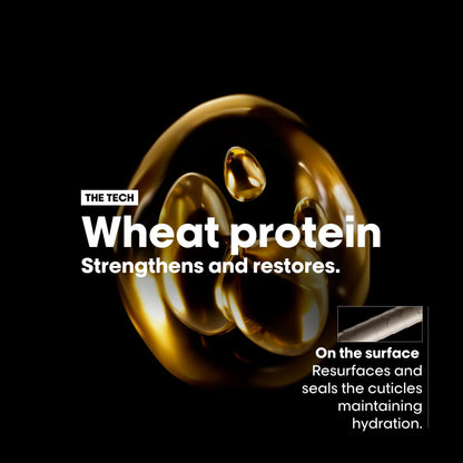 Absolut Repair Gold Quinoa + Protein technology for damaged hair