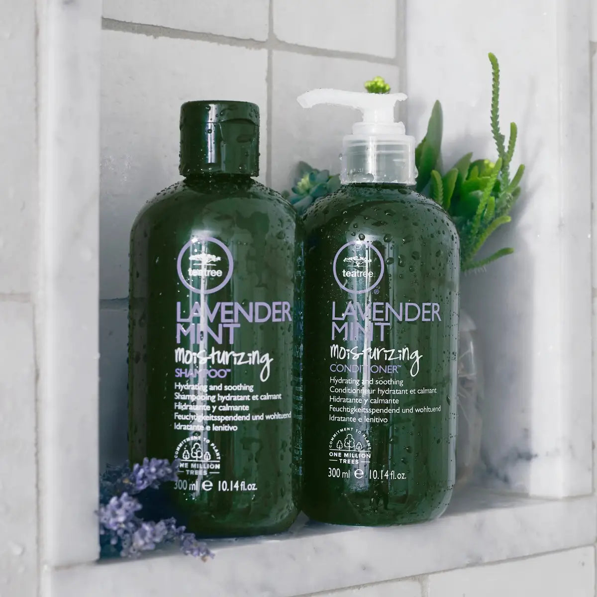 tea tree lavender and mint shampoo Teatree Lavender Mint Moisturizing Shampoo – HairCare Cyprus