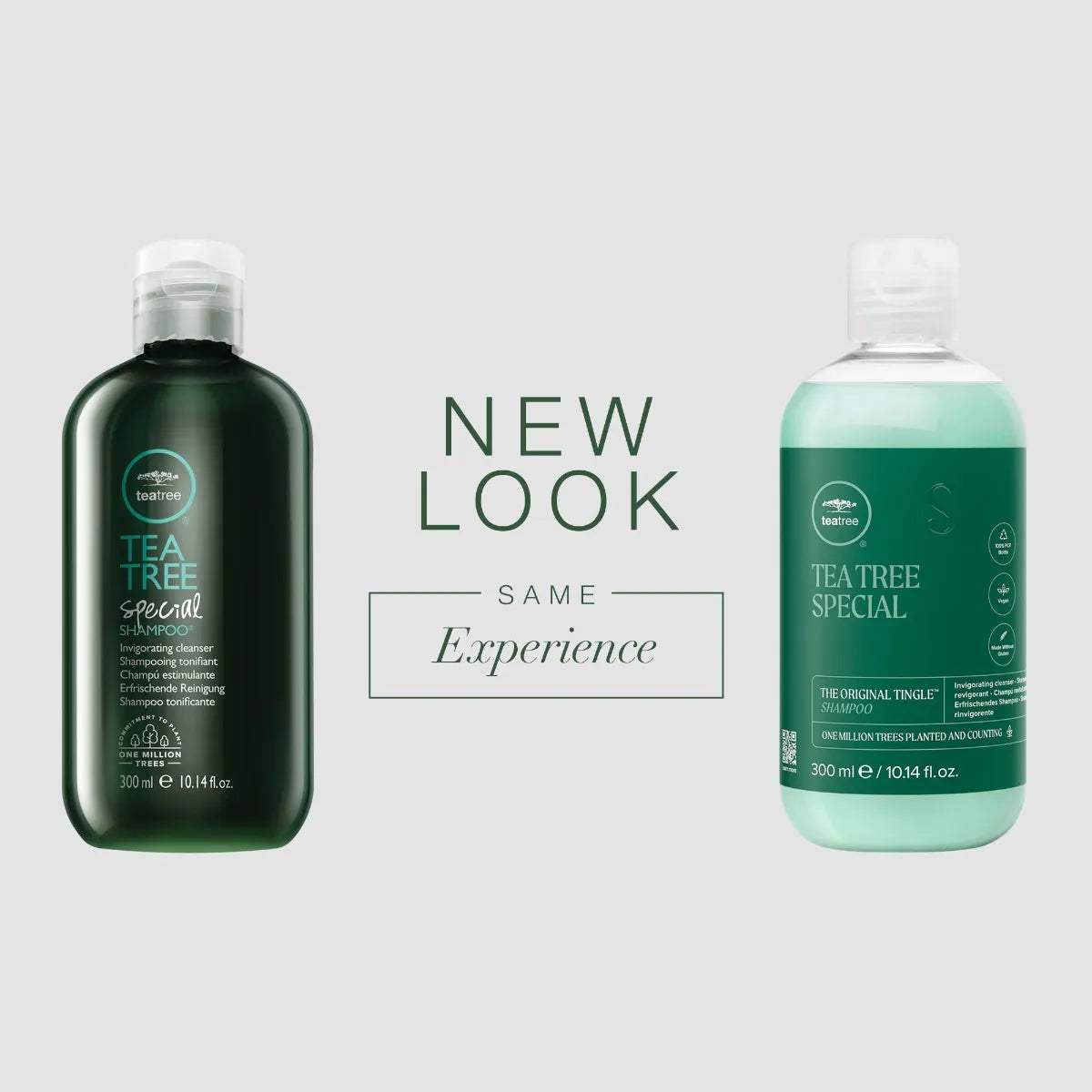 Teatree Special Shampoo