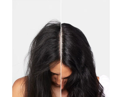 Paul Mitchell Clean Beauty Scalp Therapy Shampoo